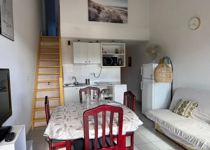 Duplex T3 Terrasse Parking Prive, - Fr-1-309-77 Apartman *